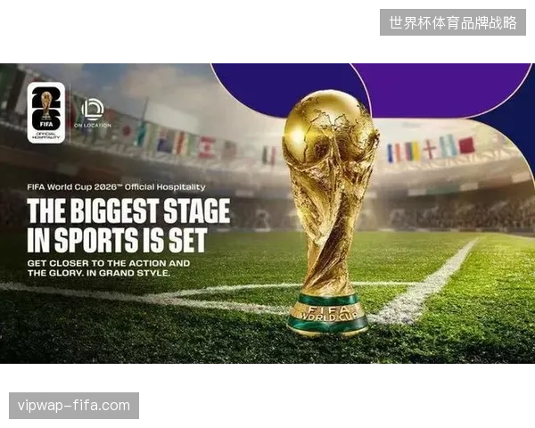 版权保护失效如何直接瓦解世界杯全球合作伙伴的市场权益价值